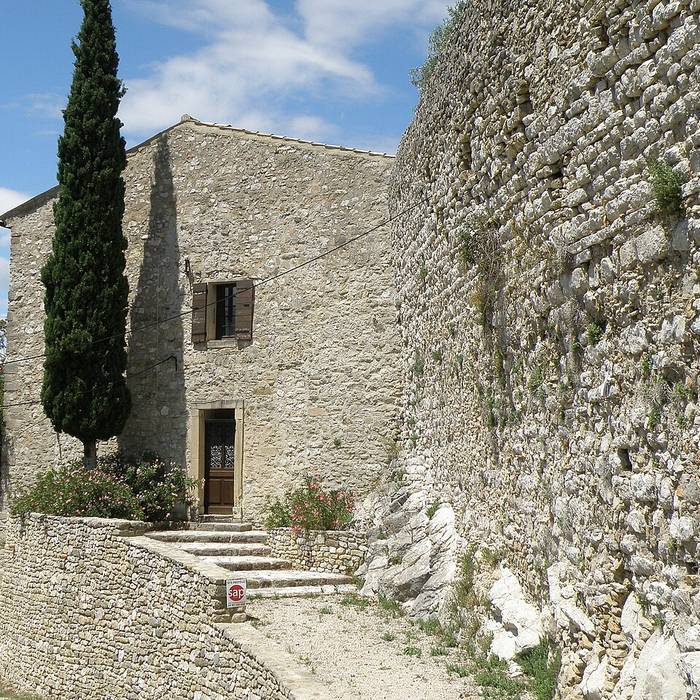Photo de Ruines du Château dEntrechaux